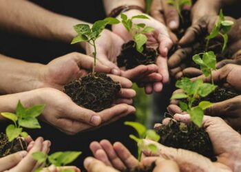 Regione Calabria: Un milione di euro per progetti innovativi in agricoltura