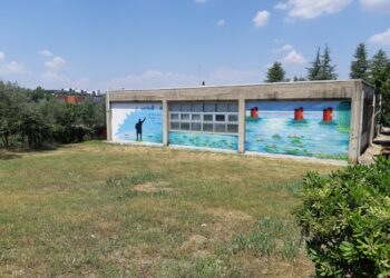 UniCal, novità per le matricole