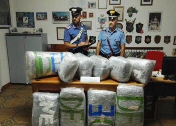 Viaggiava sulla SS106 con 55kg di droga nel furgone, arrestato dai Carabinieri