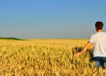 Le Aziende Agricole calabresi hanno esaurito il carburante assegnato, gli agricoltori costretti ad acquistare carburante “a  prezzo pieno”