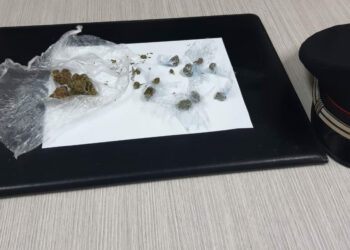 Cotronei: controlli su autobus di linea per un ispezione dei Carabinieri: sorpreso con sostanza stupefacente, arrestato