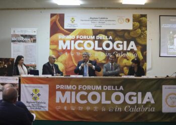 Grande successo del Primo Forum della micologia in Calabria