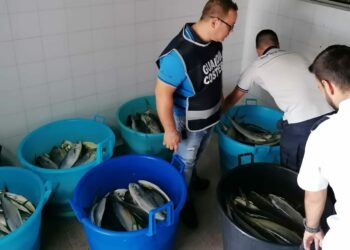 La Capitaneria di Porto di Crotone sequestra 700 kg di prodotto ittico – VIDEO