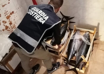 La Guardia Costiera sequestra circa 150kg di tonno sbarcato illegalmente nel porto di Cirò Marina