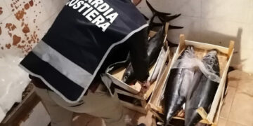 La Guardia Costiera sequestra circa 150kg di tonno sbarcato illegalmente nel porto di Cirò Marina