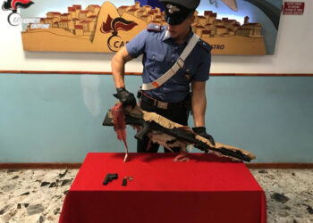 Mesoraca, detiene illegalmente armi: arrestato