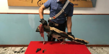 Mesoraca, detiene illegalmente armi: arrestato