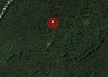 Nonno, nonna e nipotina di 12 anni si perdono nei boschi dell’Aspromonte, Ritrovati grazie all’sms locator