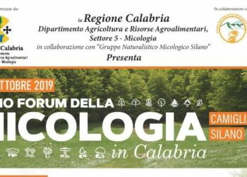 Oliverio parteciperà al “Primo Forum della Micologia in Calabria”