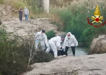 Recuperato dai Vigili del Fuoco il cadavere rinvenuto ieri a Isola Capo Rizzuto – VIDEO