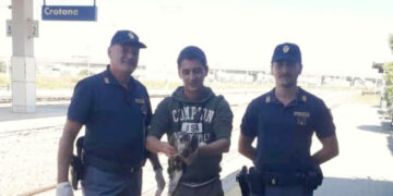 Rinvenuto Rapace ferito sul binario della stazione di Crotone, salvato dalla Polizia Ferroviaria