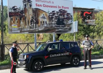 San Giovanni in Fiore: 25enne arrestato dai Carabinieri per detenzione di sostanze stupefacenti ai fini di spaccio