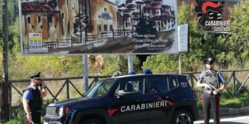 San Giovanni in Fiore: 25enne arrestato dai Carabinieri per detenzione di sostanze stupefacenti ai fini di spaccio