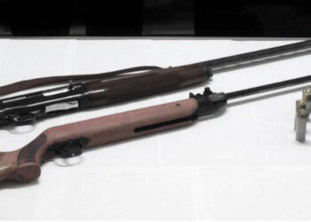 Scandale: detiene armi illegalmente e sottrae abusivamente energia elettrica, arrestato