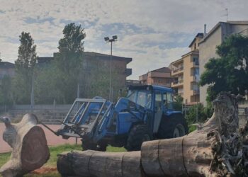 Sinergie tra pubblico e privato per la sicurezza all’Istituto “Filottete” di Cirò Marina