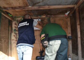 Steccato di Cutro: Appostamento di caccia non autorizzato e munizioni, controlli e sequestri delle Guardie Ecozoofile