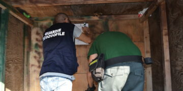 Steccato di Cutro: Appostamento di caccia non autorizzato e munizioni, controlli e sequestri delle Guardie Ecozoofile