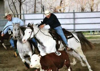 Un cowboy reggino Stefano Battista campione del mondo di 2X20 in South Dakota