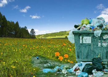 Crotone Pulita e CSV Crotone  organizzano due workshop sulla raccolta differenziata, lunedì 14 e giovedì 17 ottobre