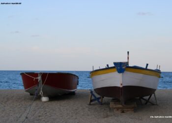 Giornata mondiale della pesca 2019