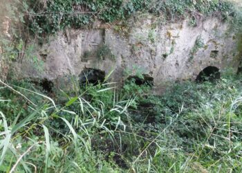 Cirò: ”Cepia di Legunu” la fontana abbandonata ricoperta da rovi