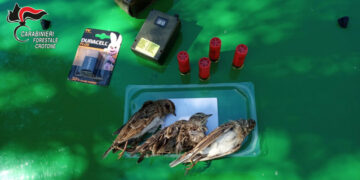 Sequestrato fucile a un cacciatore di Cirò, cacciava illegalmente nella località Solaggio