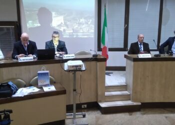 Crotone, presentata la proposta progetto “Provincia della Magna Grecia”