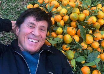 Gianni Morandi riceve le clementine di Corigliano Rossano inviate da Fabio Pistoia e le pubblica su Instagram