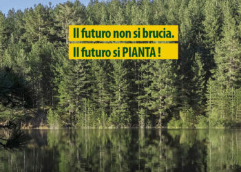Il futuro non si brucia. Il futuro si Pianta!