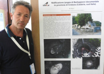L’ornitologo Mario Pucci presenta due nuove scoperte al XX Convegno Italiano di Ornitologia a Napoli