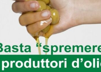 Manifestazione olivicola a Lamezia Terme il 4 Dicembre