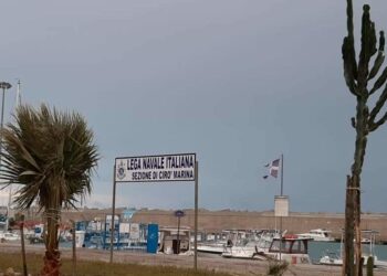 Nuove piante nel porto di Cirò Marina, cittadini utili al decoro urbano in sinergia con l’associazione “Città Pulita”