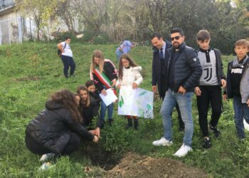 Piantare un albero è donare vita alla vita