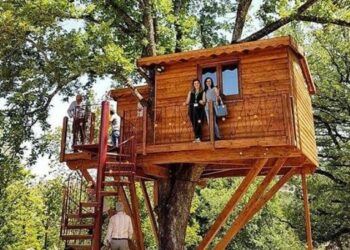 Un soggiorno alla Casa sull’albero della Tenuta Bocchineri,  per il concorso nazionale 2019 “Prendi un respiro”