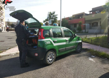 Vendita di sacchetti di plastica irregolari: sequestrati 30 kg e sanzionato due esercizi commerciali