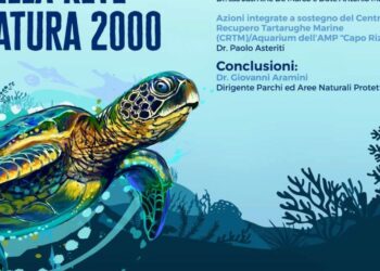 WWF e Regione per la tutela della biodiversità calabrese, giovedì 28 novembre
