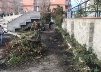Al via il taglio dell’erba nelle Scuole, Pineta e Strutture sportive di Cirò Marina a cura di Calabria Verde
