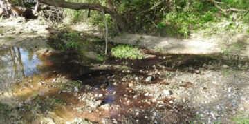 Cirò: Frantoio oleario sversava acque reflue in un fosso naturale