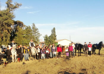 Concluso con successo il primo Stage Formativo di equitazione a Cirò Marina, organizzato dalla Yeguada De Leo Vincenzo