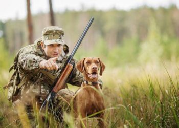 Completata la costituzione degli Ambiti Territoriali di Caccia calabresi