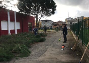Completati i lavori di pulizia della Scuola Butera di Cirò Marina a cura degli operai di Calabria Verde