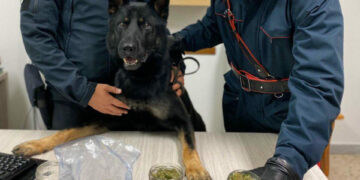 Cotronei: 49enne trovato in possesso di 400 grammi di droga, arrestato dai Carabinieri