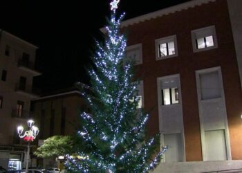 Crotone: acceso in piazza della Resistenza davanti il palazzo Comunale, l’albero di Natale della Città