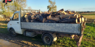 Isola Capo Rizzuto: Sorpreso mentre ruba legna nella Pineta di Sovereto