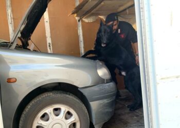 Isola Capo Rizzuto: sorpresi in autocarro e a casa con sostanza stupefacente, un arresto ed una denuncia
