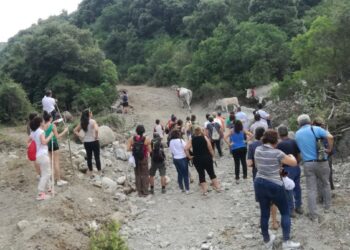 Torre Melissa: Riconoscimento Unesco della Transumanza, nei prossimi giorni riunione tra Gal kroton e i Promotori