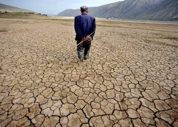 Giornata del suolo: continua l’emorragia di suolo agricolo in 30 anni in Calabria ne è scomparso ¼