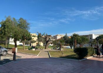 Completati i lavori di potatura nelle villette di via Roma e della Montagnella a Cirò Marina