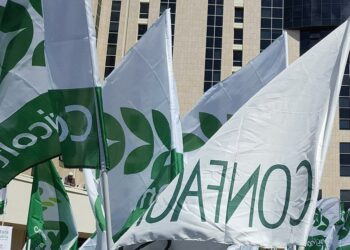 Proposte di Confagricoltura Crotone al futuro Governo Regionale