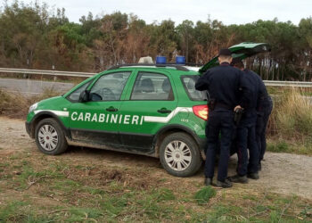 Crucoli: Abbatte abusivamente tre pioppi nel greto del Fiume Nicà, denunciato il responsabile